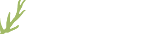 Laura Hirsch Architektin Logo